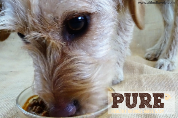 Pure Pet Food