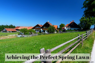 Achieving the Perfect Spring Lawn