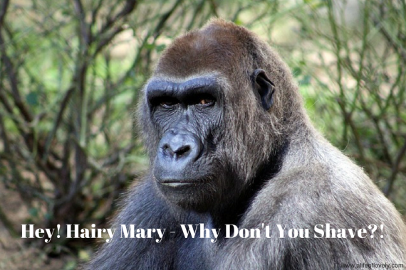 Hey! Hairy Mary - Why Don't You Shave?!