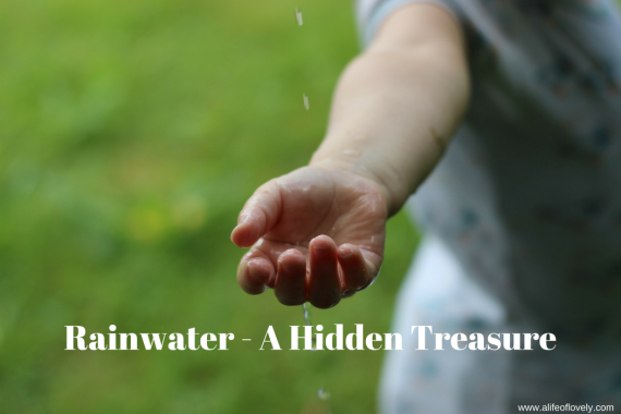 Rainwater - A Hidden Treasure