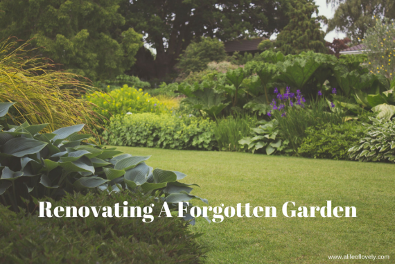 Renovating A Forgotten Garden
