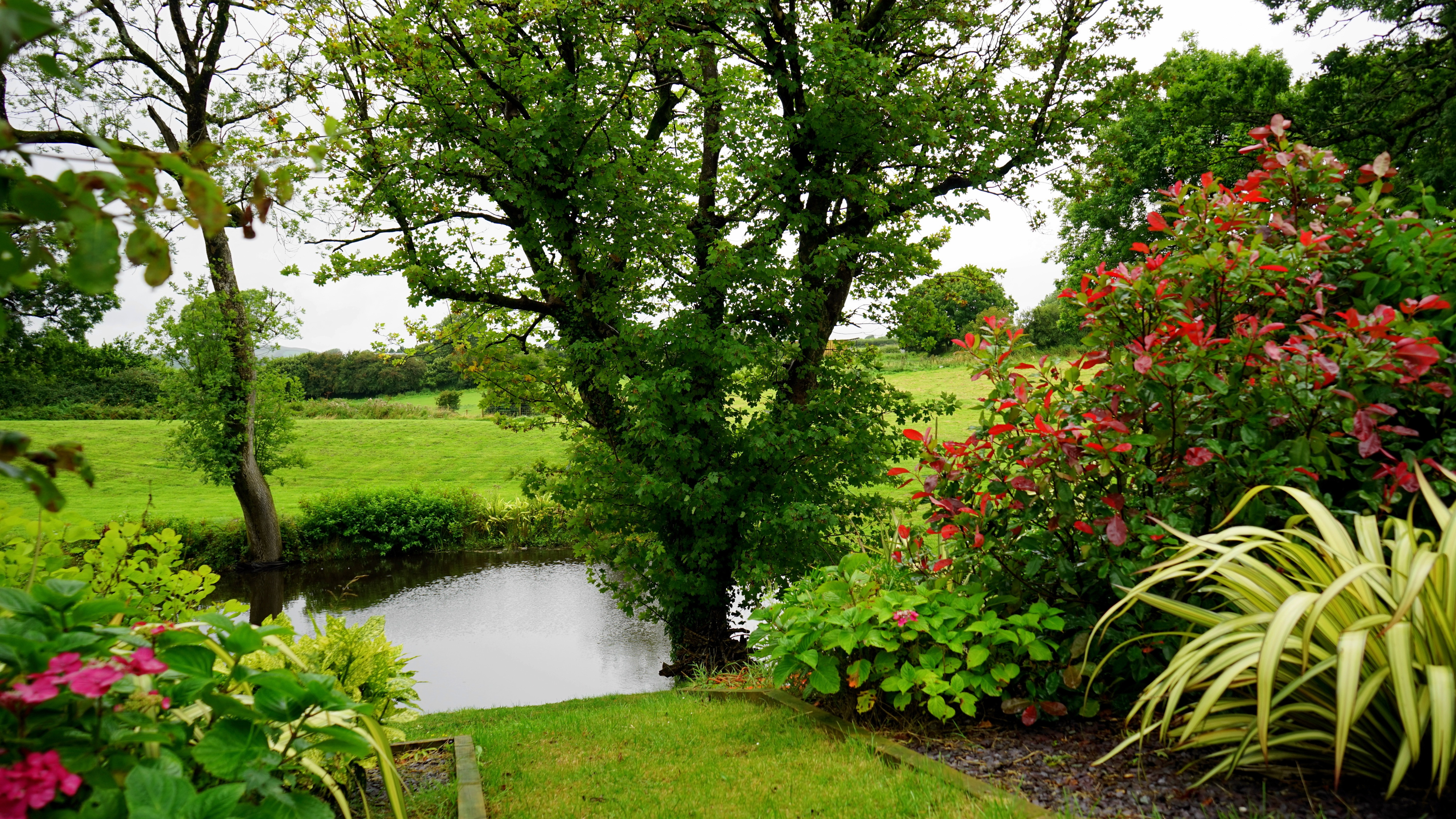 country garden