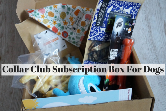 Collar Club Subscription Box For Dogs
