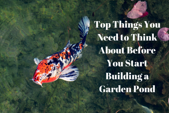 Top Things You Need to Think About Before You Start Building a Garden Pond