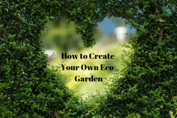 How to Create Your Own Eco-Garden