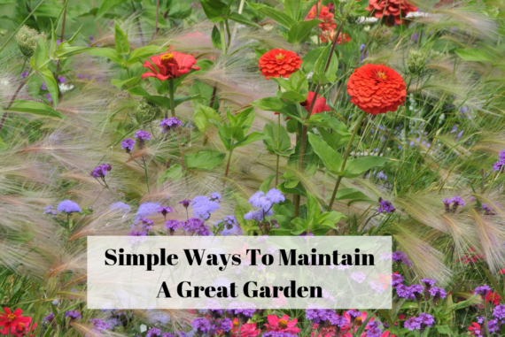 Simple Ways To Maintain A Great Garden