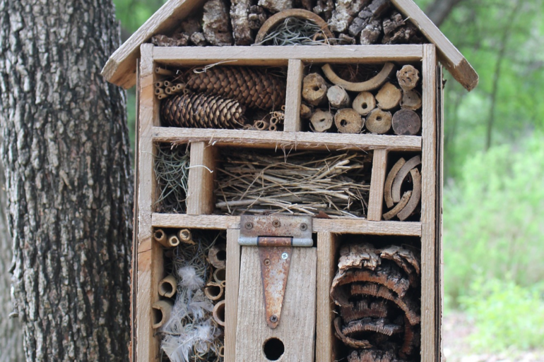 Making Your Garden a Wildlife-Friendly Garden