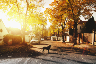 How To Thrive In A New Town