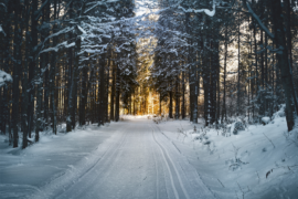 Protecting Your Home Through The Harsh Winter Months