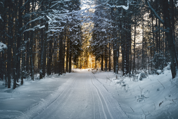 Protecting Your Home Through The Harsh Winter Months