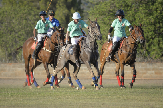 5 Reasons Why Polo Is The Ultimate Sport For Players Of All Levels