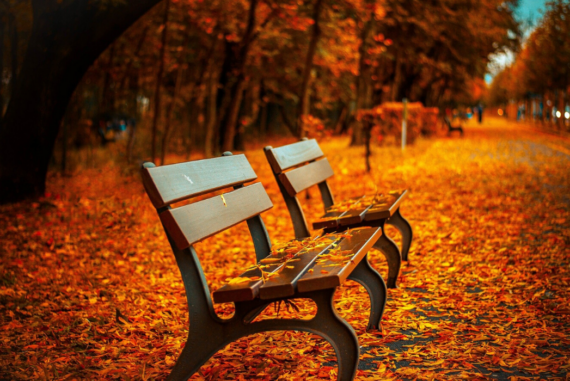 3 Reasons to Spend More Time Outside Each Day