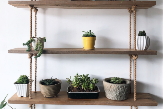 The #Shelfie Trend: Making It Work In Your Home