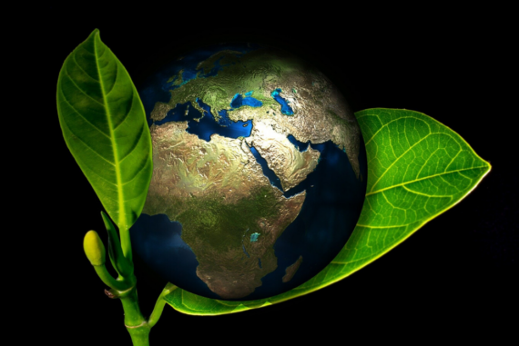 How to Go Green at Home without Sacrificing Comfort