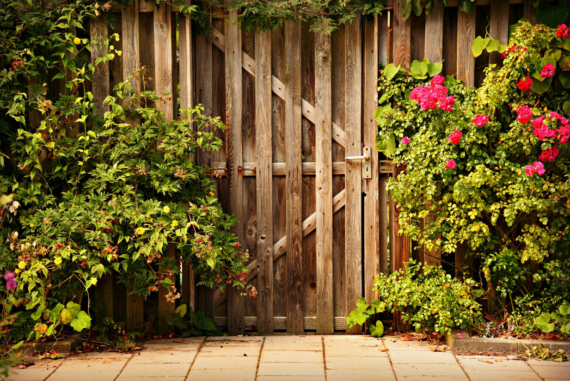 3 Ways to Keep Little Critters Out of Your Garden