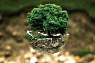 5 Modern Garden Practices That Promote Environmental Conservation