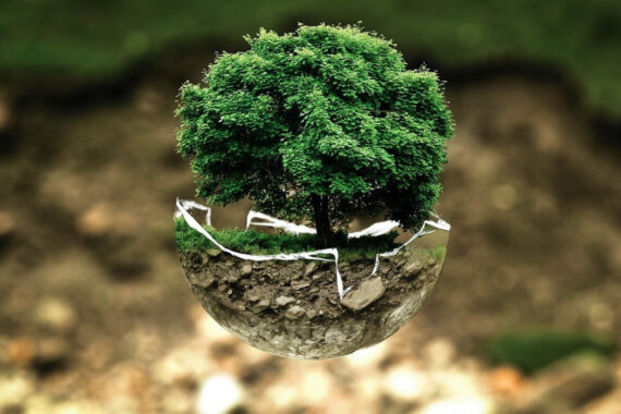 5 Modern Garden Practices That Promote Environmental Conservation