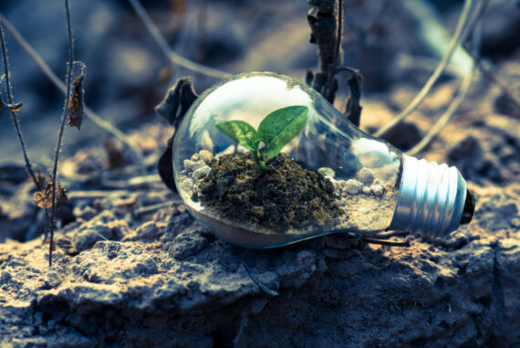 Protecting The Environment With Your New Build