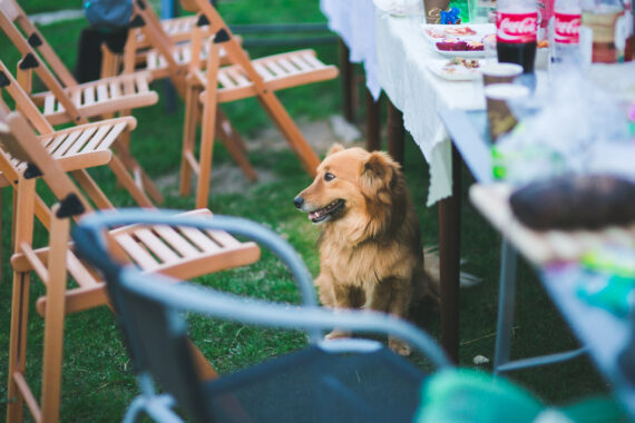How Will You Entertain Guests This Summer