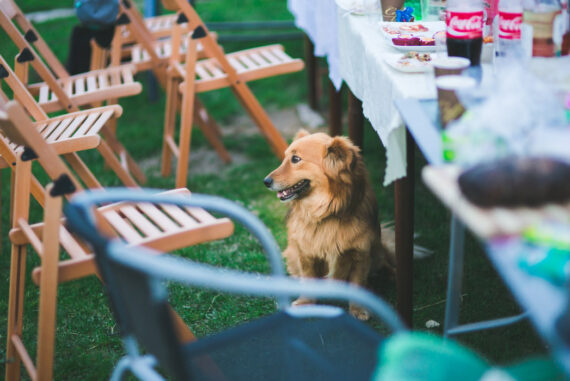 How Will You Entertain Guests This Summer