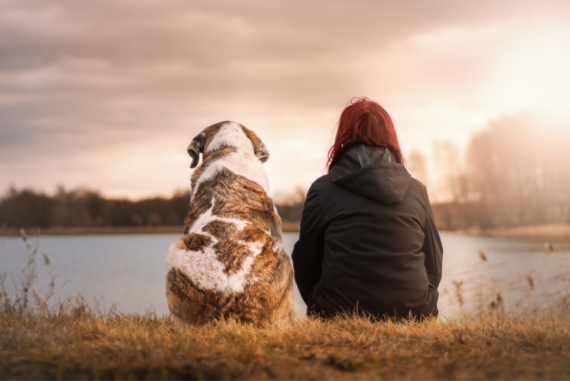 Tips on How to Thank Your Dog for all the Love