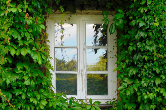 3 DIY Window Decorations To Liven Up Your Home