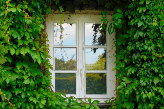 3 DIY Window Decorations To Liven Up Your Home