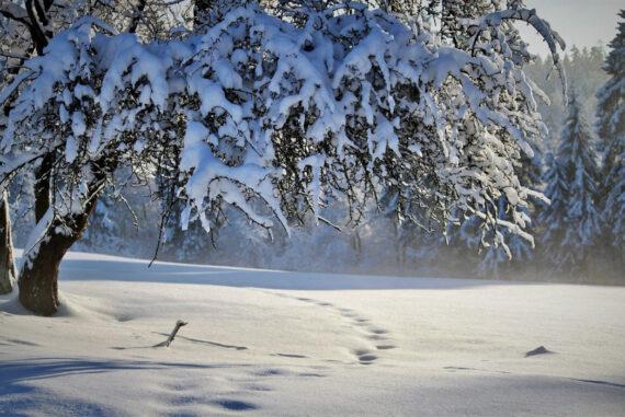 5 Important Maintenance Tasks To Ensure Your Home Is Winter-Ready