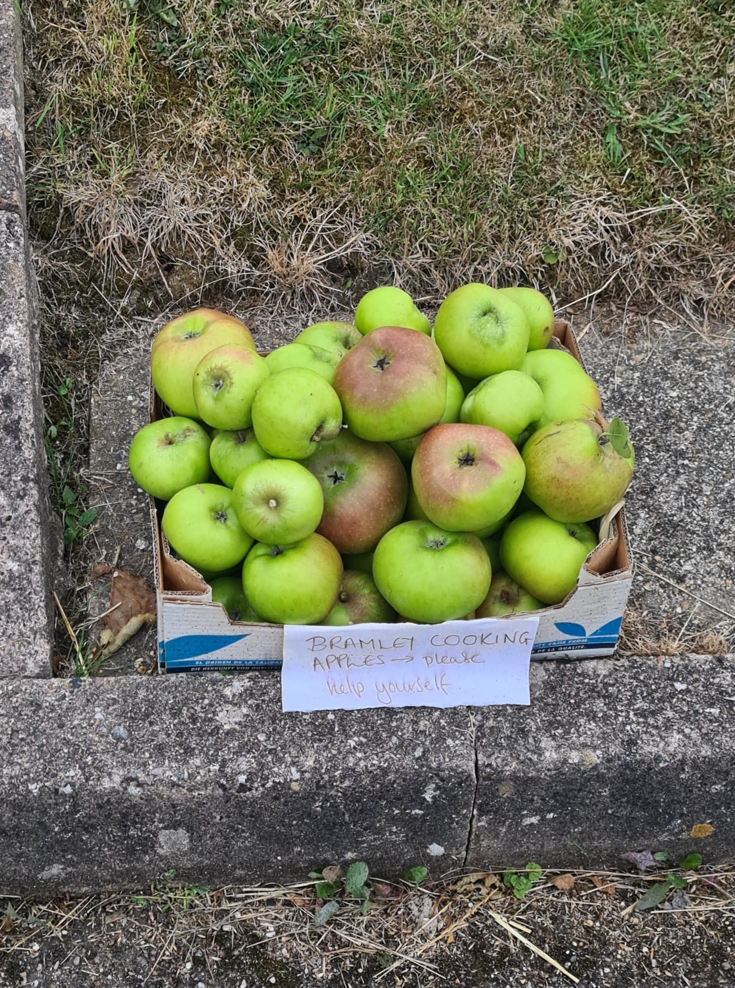 cooking apples on a doorstep
