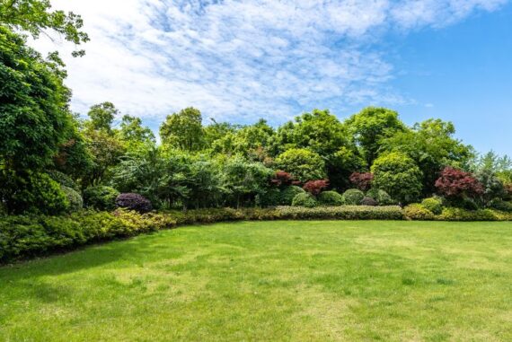 How To Have a Good Garden Despite Allergies