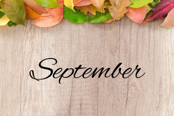 My Monthly Favourites - September 2022