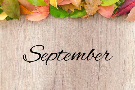 My Monthly Favourites - September 2022