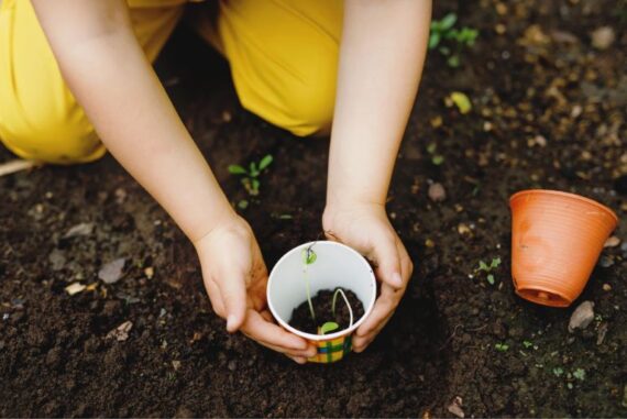 Friendly Flowers for Beginning Gardeners