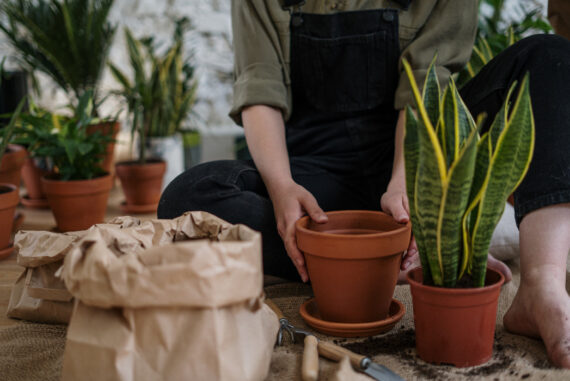 How To Manage Your Garden So It Is Usable Year-Round