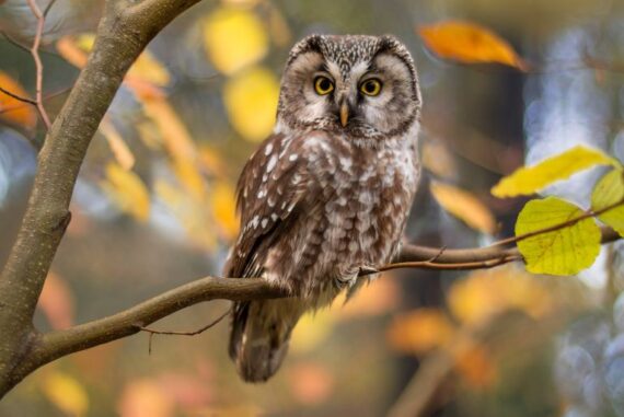 4 Interesting Facts To Know About Nature