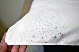 5 Ways To Protect Your Personal Items From Mold