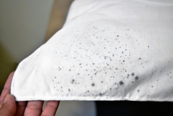 5 Ways To Protect Your Personal Items From Mold