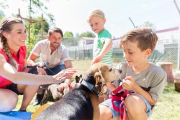 Service Projects To Do With Your Family This Summer