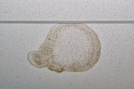 What To Do if You Find Leaking Water in Your Home