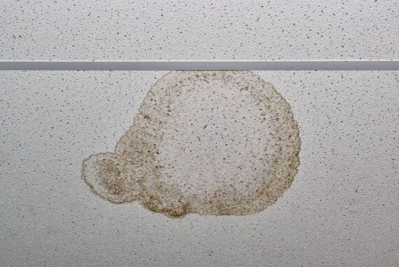 What To Do if You Find Leaking Water in Your Home