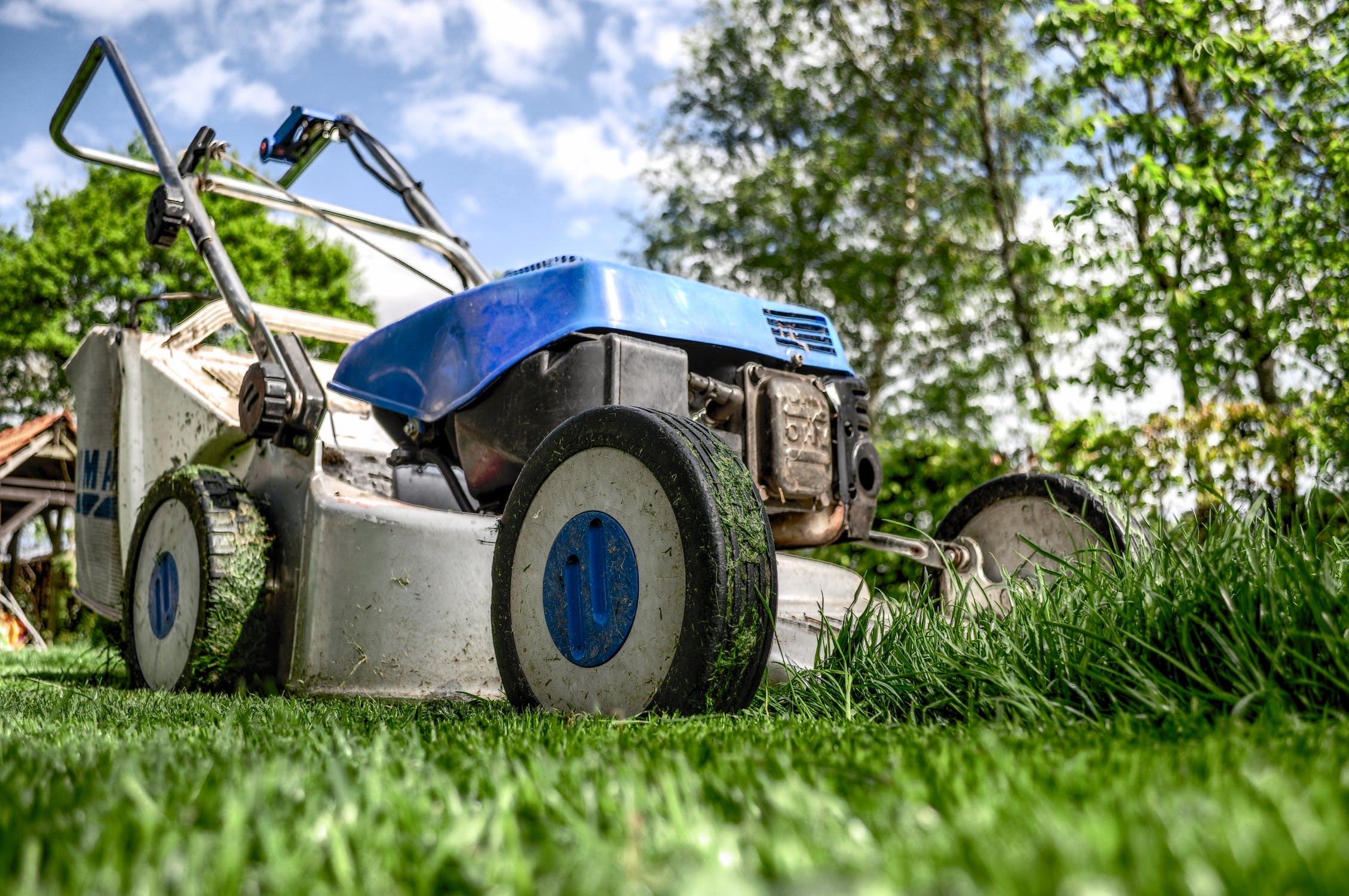 5 Essential Lawncare Tasks For A Perfect Lawn