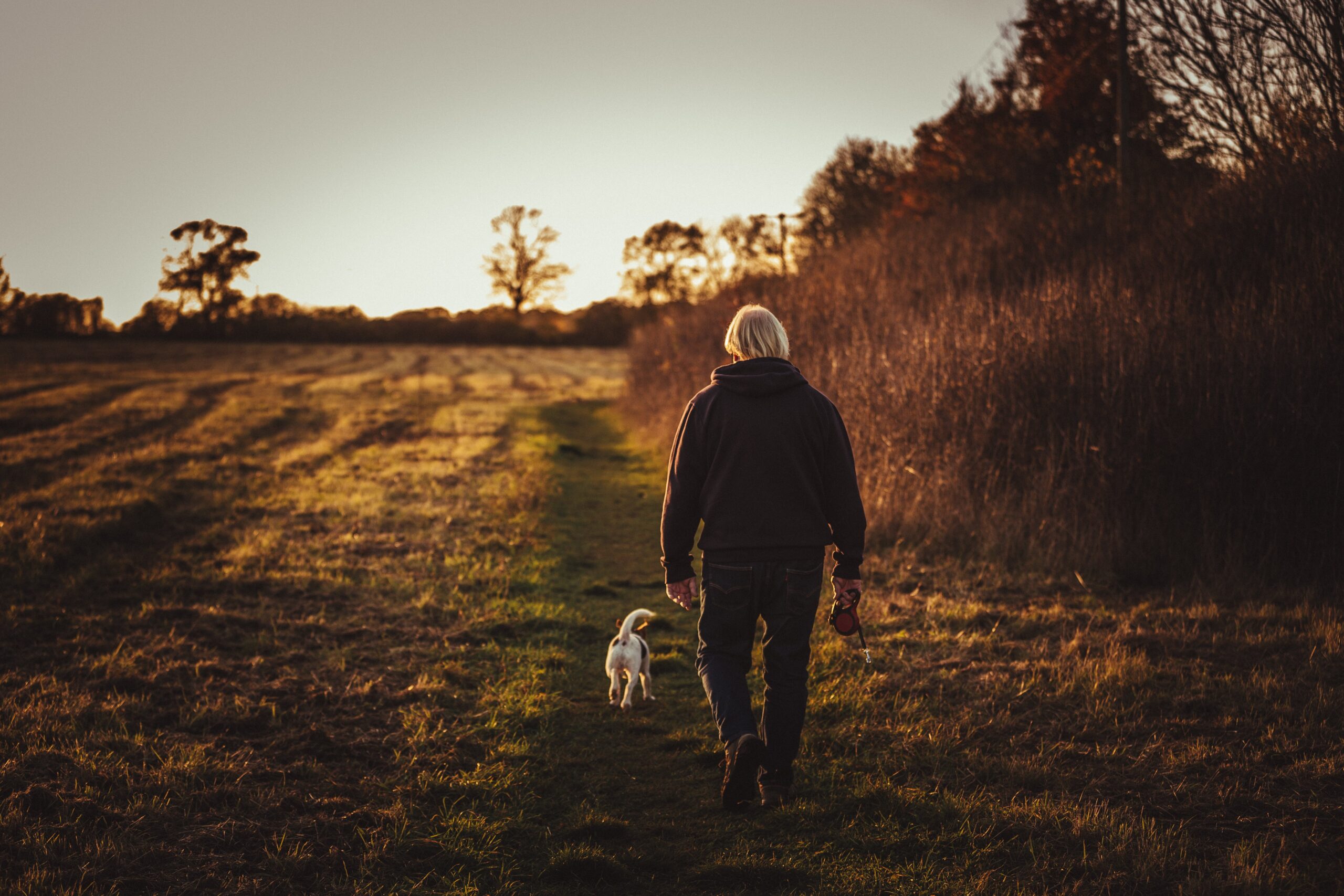 Things You Should Add To Your Dog’s Walk Time