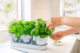 Fun Ways To Bring In the Springtime at Home