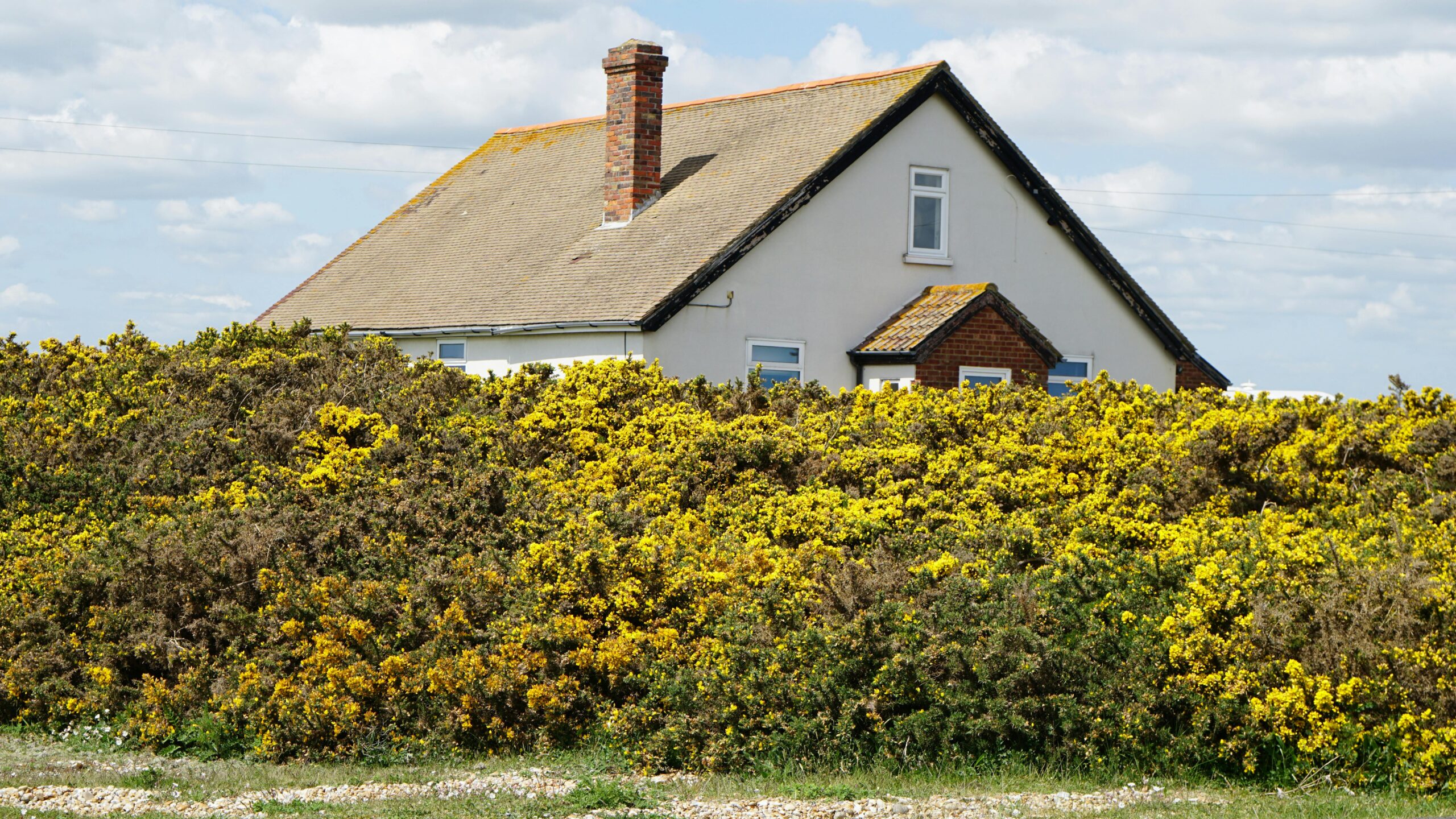 Year-Round Home Care: Must-Do Tasks for Every Season