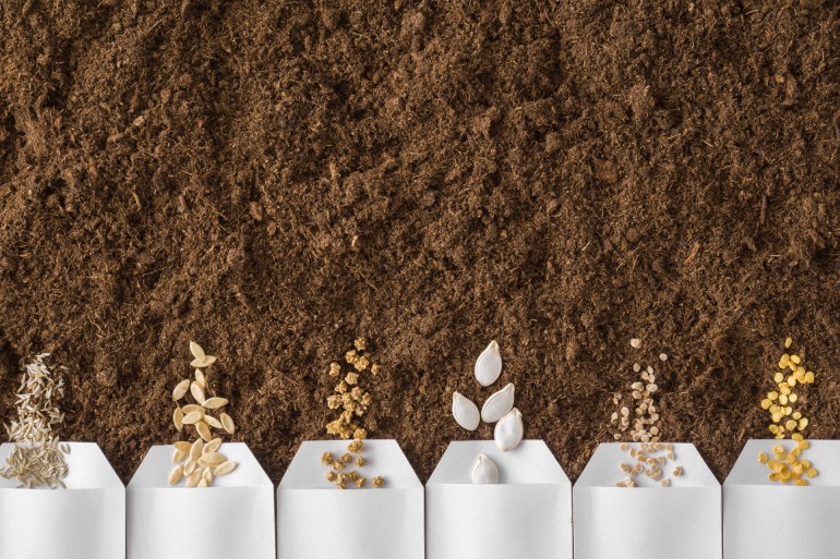 Six white envelopes aligned with each one spilling different types of heirloom seeds on top of a bed of fresh dark soil.
