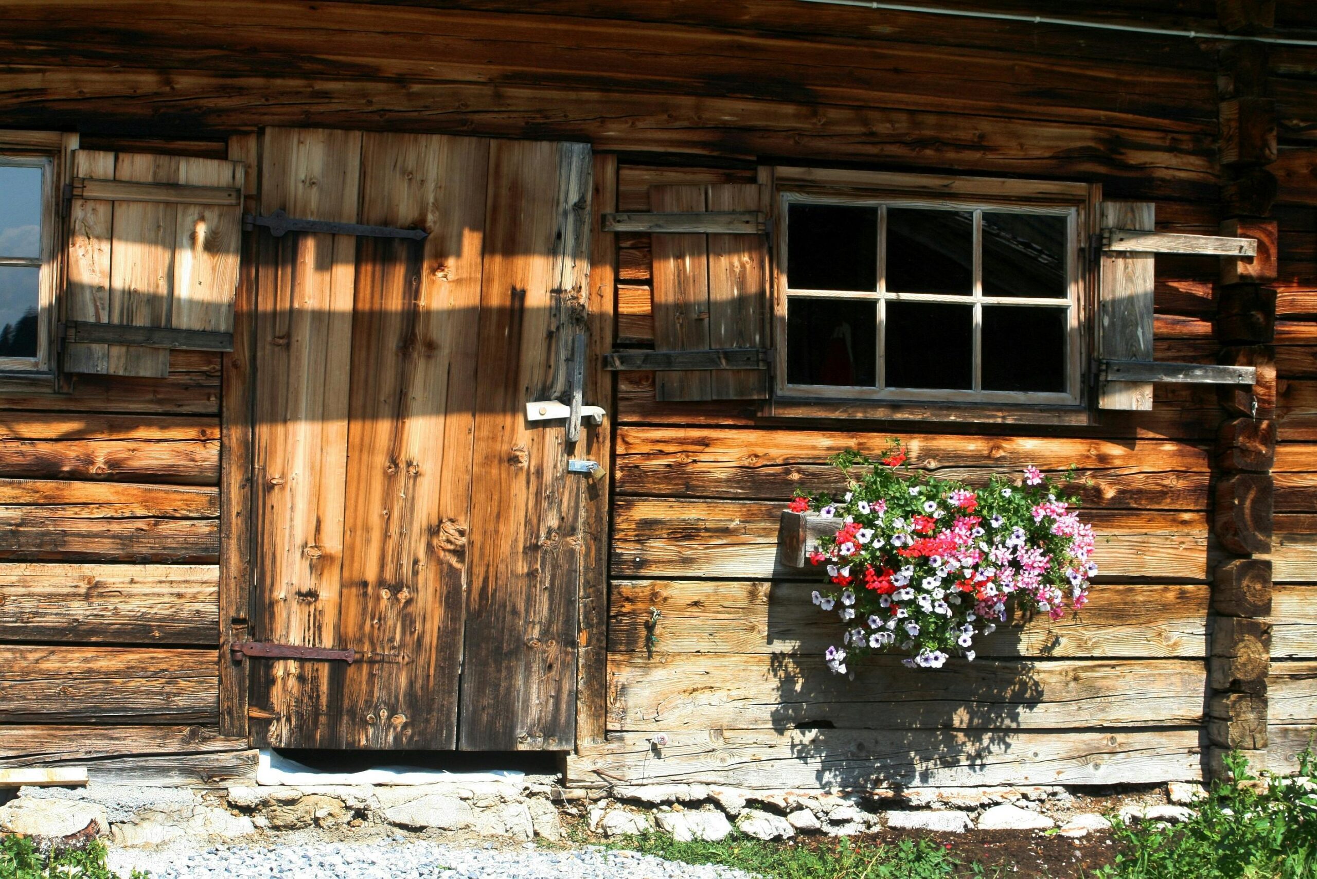 The Rise of the Outdoor Shed Market Across the World