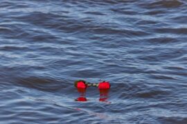Two red roses floating in the water after a burial at sea ceremony. The water is dark blue with slight waves.