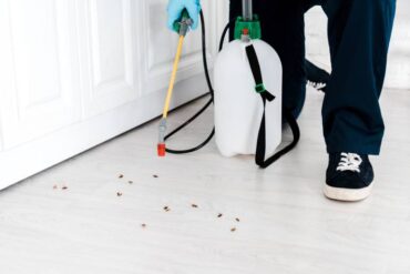 A person using equipment to spray at bugs inside a room. The floors are wooden, and the walls are white.