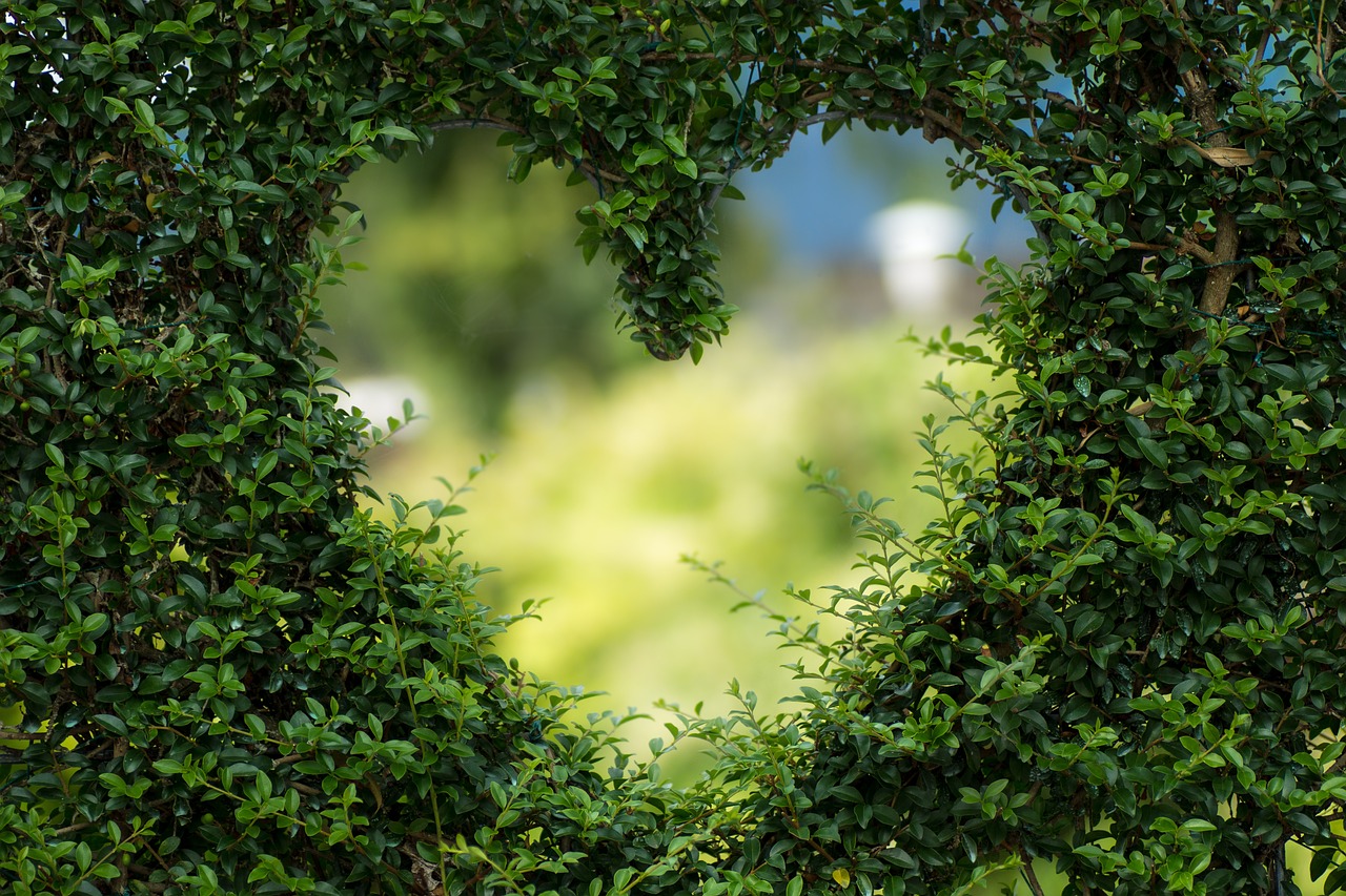 Top Tips To Restore Your Love Of The Garden