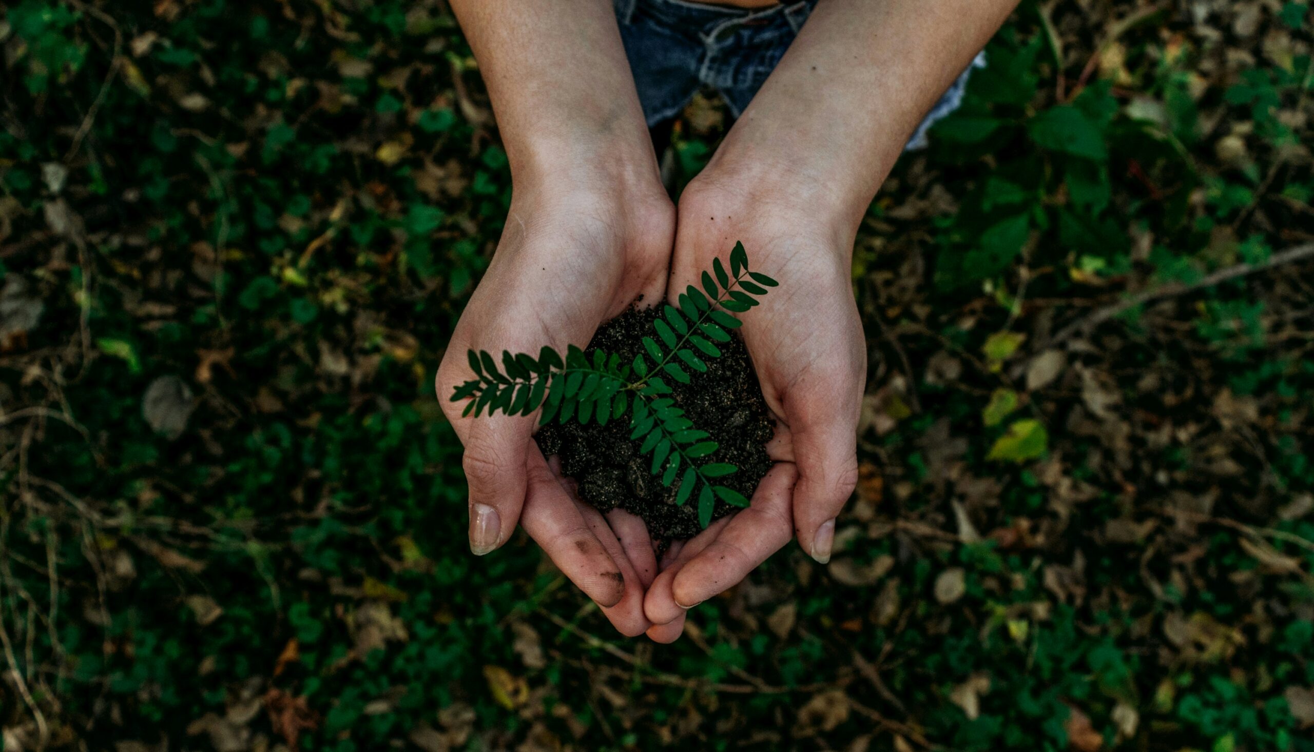 6 Green Living Hacks for a More Sustainable Future